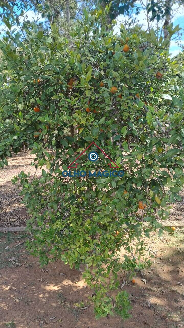 Chácara, 3 quartos, 1500 m² - Foto 25